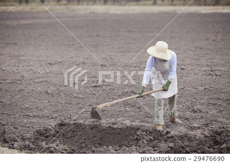 Agriculture girls Agriculture girls 29476690