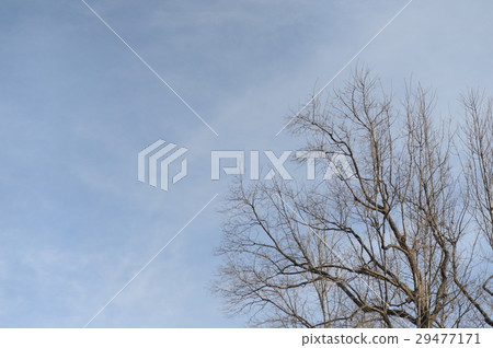 Blue sky Blue sky 29477171