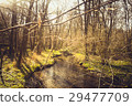 Landscape in the woods with a small stream running 29477709