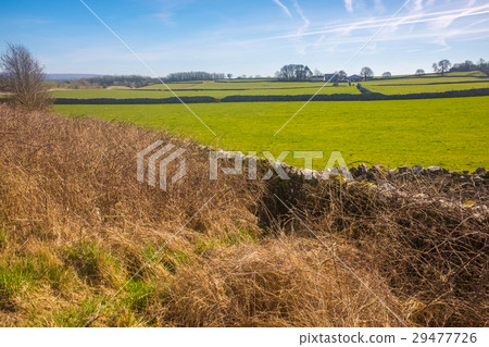 A dry stone wall in the Lake District National A dry stone wall in the Lake District National 29477726