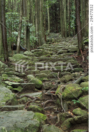 Kumano Kodo Matsumoto Pass 29477832