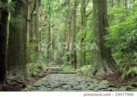 Kumano Kodo Daimonzaka Kumano Kodo Daimonzaka 29477986