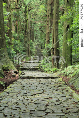 Kumano Kodo Daimonzaka 29477989
