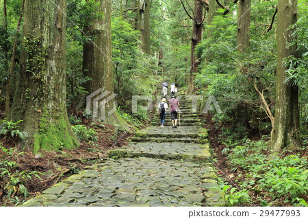 Kumano Kodo Daimonzaka 29477993