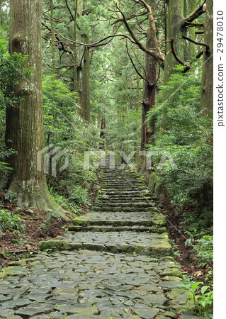 Kumano Kodo Daimonzaka Kumano Kodo Daimonzaka 29478010