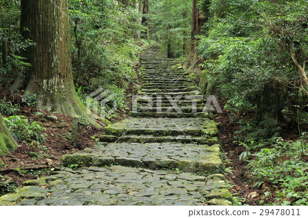 Kumano Kodo Daimonzaka 29478011