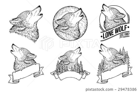 Set vector illustrations of a howling wolves 29478386