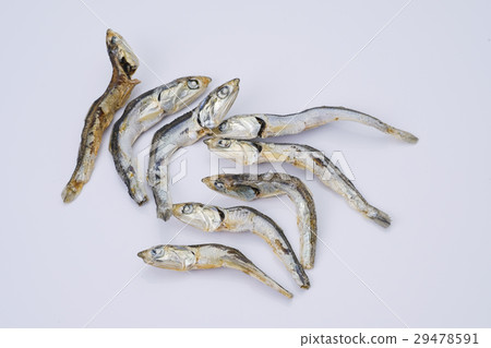 Boiled sardine dish 29478591