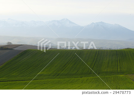 Early spring land 29478773