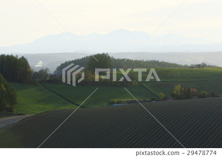 Early spring land 29478774