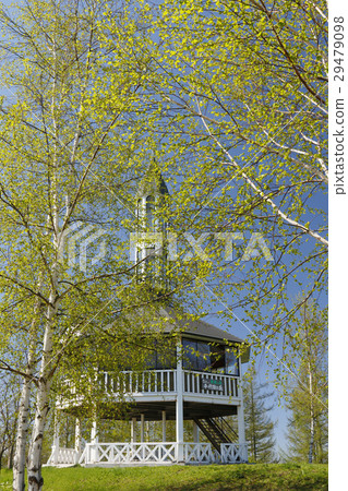 Hill of Chiyoda 29479098