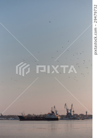 Seagulls flying cranes on the port and the ship 29479732