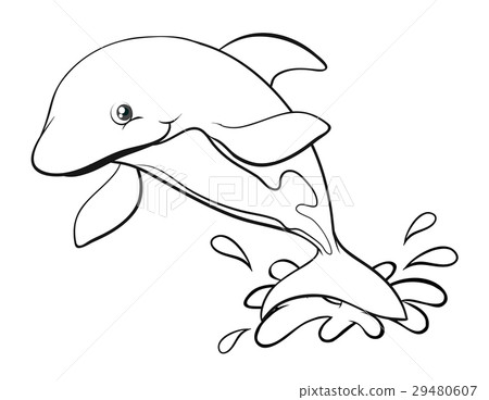 Doodles drafting animal for dolphin 29480607