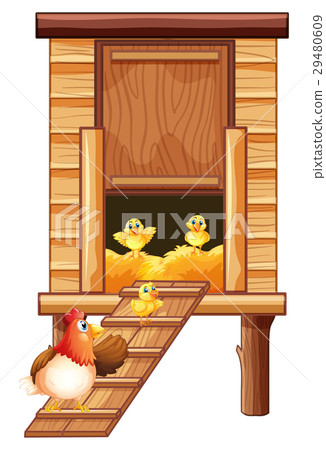 Chicken coop with hen and chicks 29480609