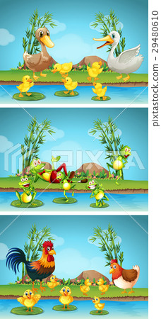 Three scenes of farm animals by river 29480610