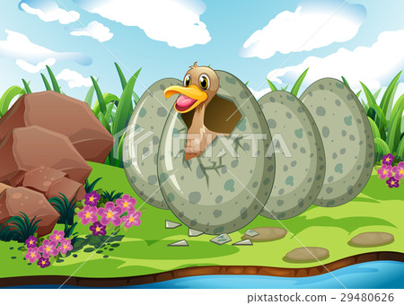 River scene with duck hatching egg River scene with duck hatching egg 29480626