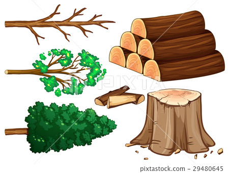 Tree and firewood on white background Tree and firewood on white background 29480645
