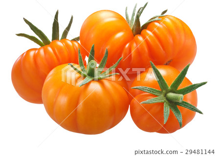 Yellow ribbed tomatoes, paths 29481144