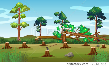 Scene with chopped trees on the ground 29481434