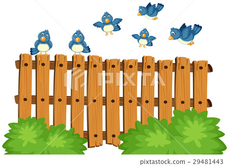 Blue birds flying over wooden fence Blue birds flying over wooden fence 29481443