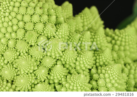 Romanescu (Brassica Oleracea) closeup 29481816