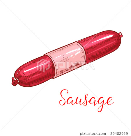 Meat sausage sketch of salami, ham or pepperoni 29482939