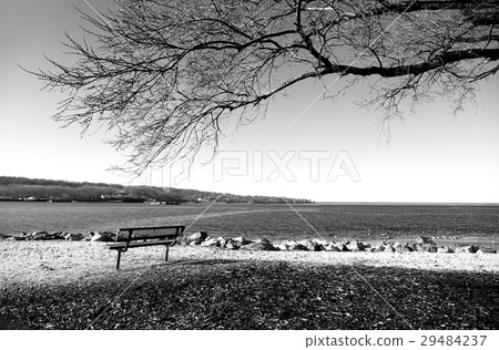 public chair with tree at seaside in winter time public chair with tree at seaside in winter time 29484237