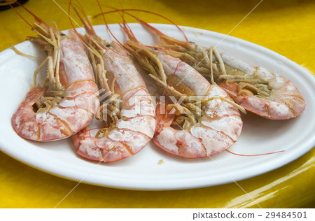 Shrimp Shrimp 29484501