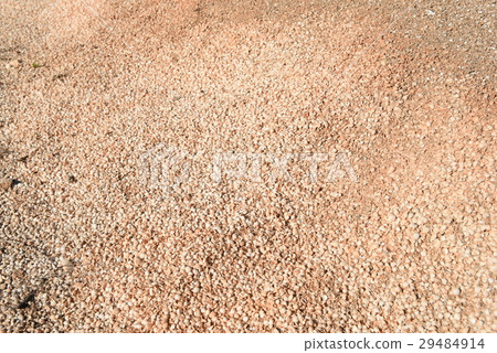 Australia, Western Australia, Shark Bay, Shell Beach 29484914