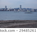 Sarushima 29485261