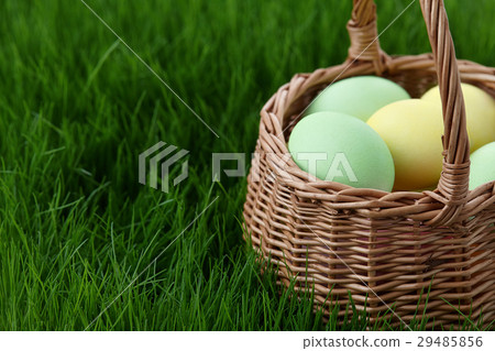 Easter eggs basket in grass meadow Easter eggs basket in grass meadow 29485856