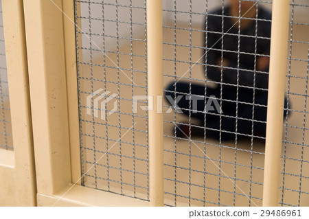 Prison, detention house, crime, arrest, hold, prison, prison, detention, culprit, prison, fraud, caught, police, male, Japanese Prison, detention house, crime, arrest, hold, prison, prison, detention, culprit, prison, fraud, caught, police, male, Japanese 29486961