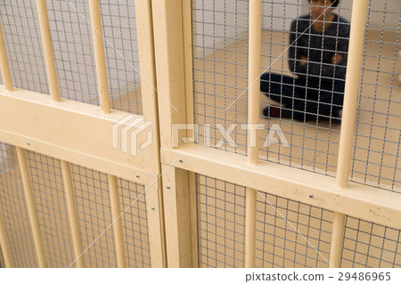 Prison, detention house, crime, arrest, hold, prison, prison, detention, culprit, prison, fraud, caught, police, male, Japanese 29486965