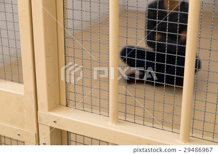 監獄,拘留所,犯罪,逮捕,舉行,監獄,監獄,拘留,罪魁禍首,監獄,欺詐,抓住了,警察,男性,日語 監獄,拘留所,犯罪,逮捕,舉行,監獄,監獄,拘留,罪魁禍首,監獄,欺詐,抓住了,警察,男性,日語 29486967