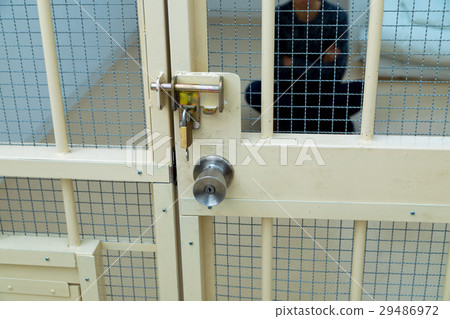 Prison, detention house, crime, arrest, hold, prison, prison, detention, culprit, prison, fraud, caught, police, male, Japanese Prison, detention house, crime, arrest, hold, prison, prison, detention, culprit, prison, fraud, caught, police, male, Japanese 29486972