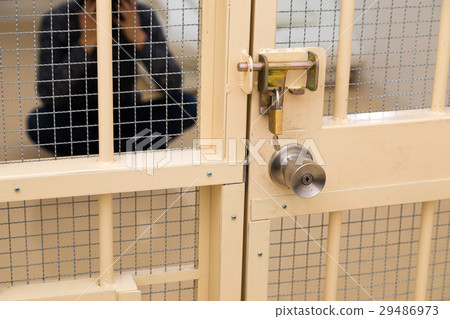 Prison, detention house, crime, arrest, hold, prison, prison, detention, culprit, prison, fraud, caught, police, male, Japanese Prison, detention house, crime, arrest, hold, prison, prison, detention, culprit, prison, fraud, caught, police, male, Japanese 29486973