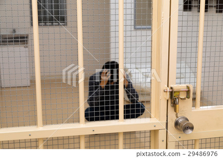 Prison, detention house, crime, arrest, hold, prison, prison, detention, culprit, prison, fraud, caught, police, male, Japanese Prison, detention house, crime, arrest, hold, prison, prison, detention, culprit, prison, fraud, caught, police, male, Japanese 29486976