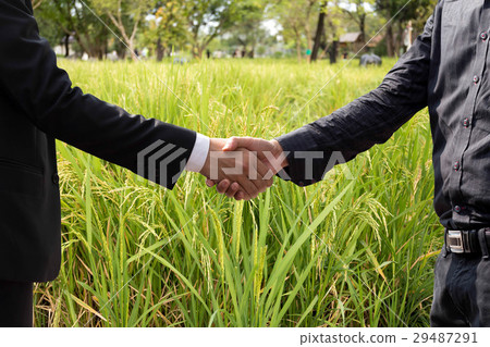 Success Hand shaking agreement of businessman  29487291