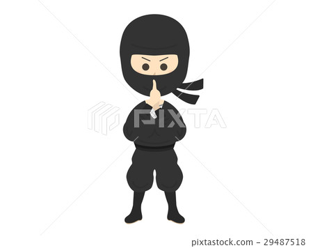 Ninja 29487518