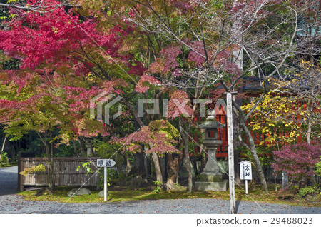 Colourful autumn leaves at a temple in Japan Colourful autumn leaves at a temple in Japan 29488023