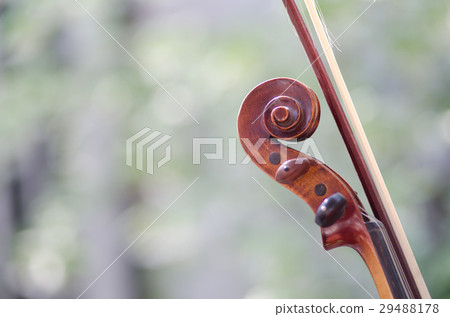 The violin's head looks like a beautiful spiral, t The violin's head looks like a beautiful spiral, t 29488178