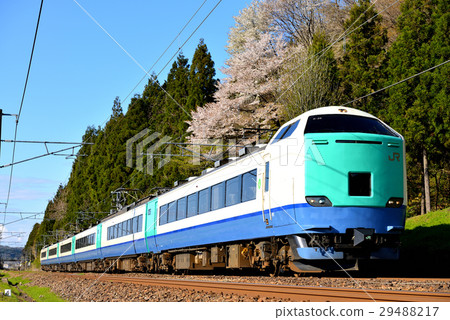 Limited Express Hokkosho going Shin-Etsu Road in May Limited Express Hokkosho going Shin-Etsu Road in May 29488217
