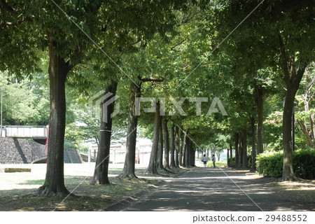 Scenery of Hachioji City "Akihabadai Park" in Tokyo 29488552