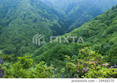 Fresh green mountain Fresh green mountain 29488570