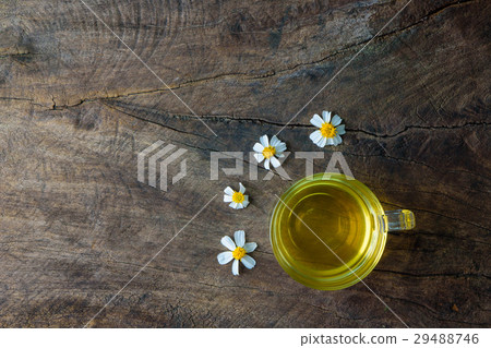 Chamomile Tea and Chamomile flower on old wooden Chamomile Tea and Chamomile flower on old wooden 29488746