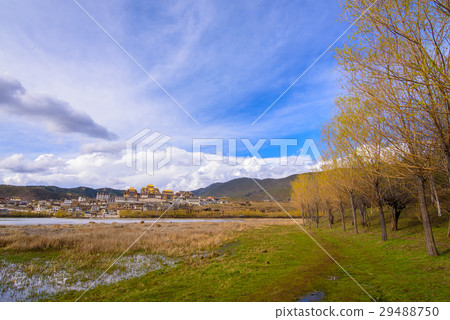 Beautifull Golden Forests and Lake  29488750