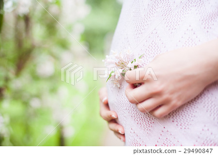 young pregnant woman holding flower young pregnant woman holding flower 29490847