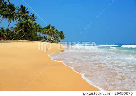 Tropical beach Tropical beach 29490970
