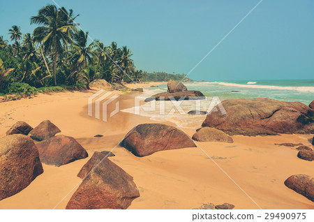 Tropical beach Tropical beach 29490975
