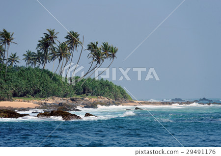 Tropical beach 29491176